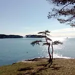 Mamut Апартаменты *