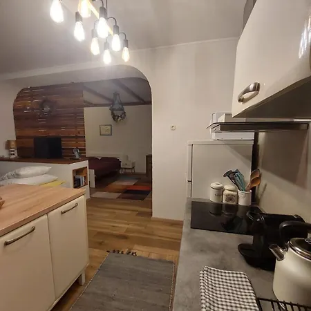 Apartament Mamut *